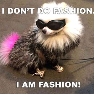 Fashion